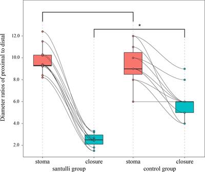 The safety and effectiveness of Santulli enterostomy in neonatal intestinal conditions